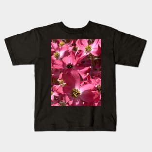 Cherokee Dogwood Tree Blossoms Kids T-Shirt